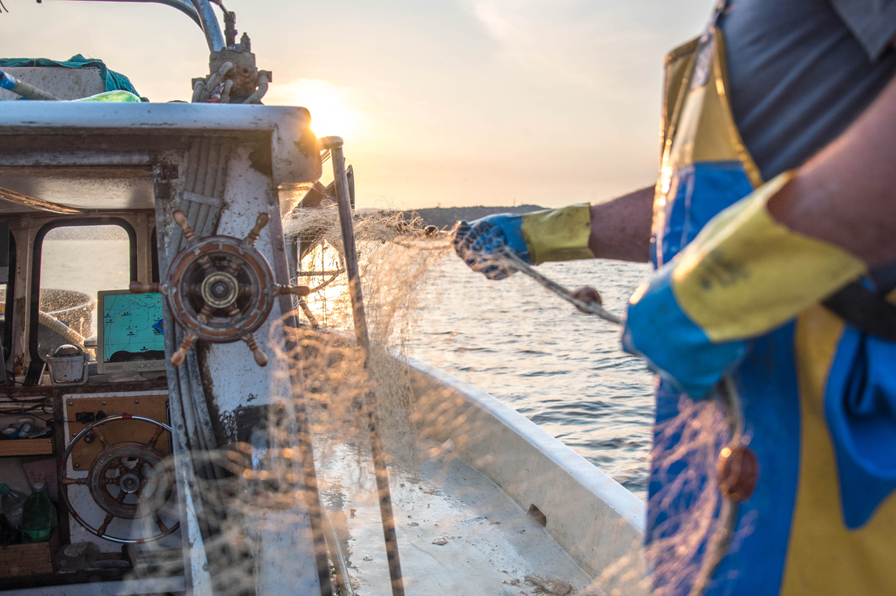 Fishery Protection Stock Photos - 2,152 Images